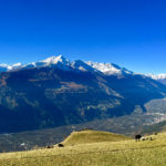 View from S. Martin im Kofel above Latsch